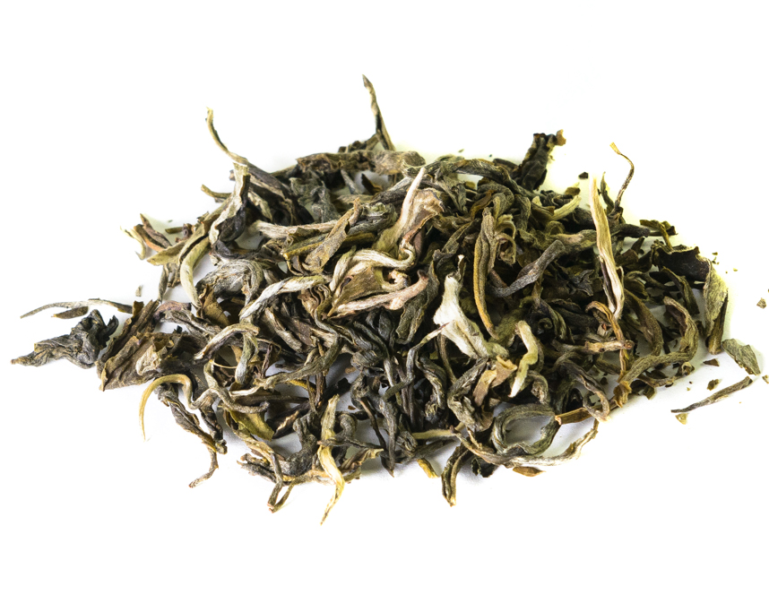 беловолосая обезьяна Киров